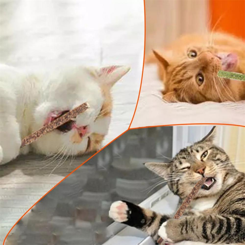 100% Natural Silver Vine Cat Chew Toys (6 Sticks/Box)