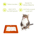 Cat using silicone slow-feeder lick mat